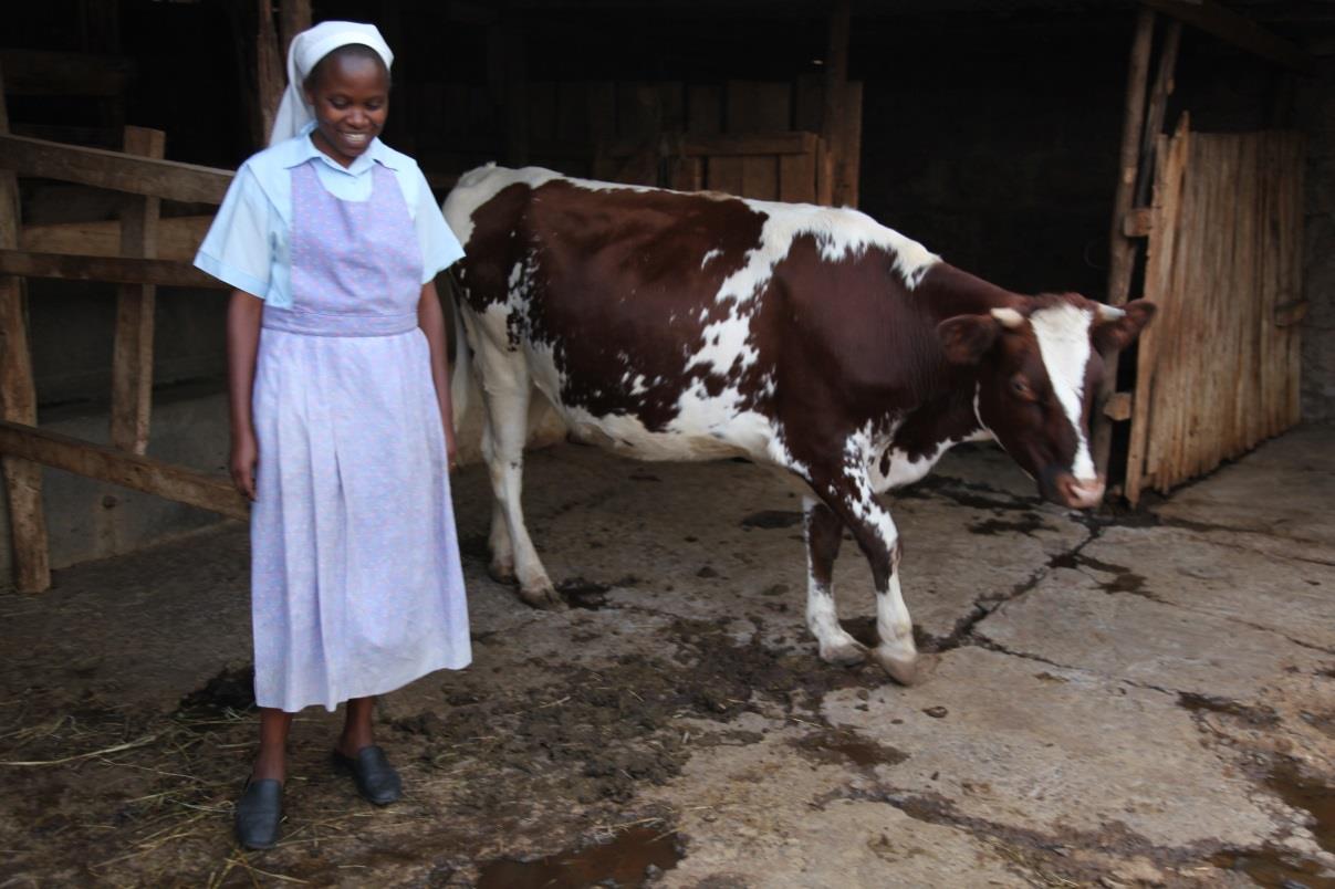 At the Evangelizing Sisters of Mary in Ongata Rongai, another daily farming project provides employment to women from the Kawangware slum in the outskirts of Nairobi, women bring home a decent wage, and food for their families.