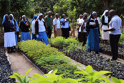 SLDI Administration students from Zambia take field trip to Kasisi