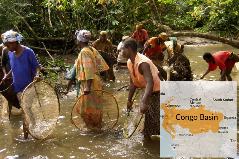 Humans have inhabited the forests of the Congo Basin for tens of thousands of years. Today, the Congo Basin provides food, medicine, water, materials and shelter for over 75 million people.