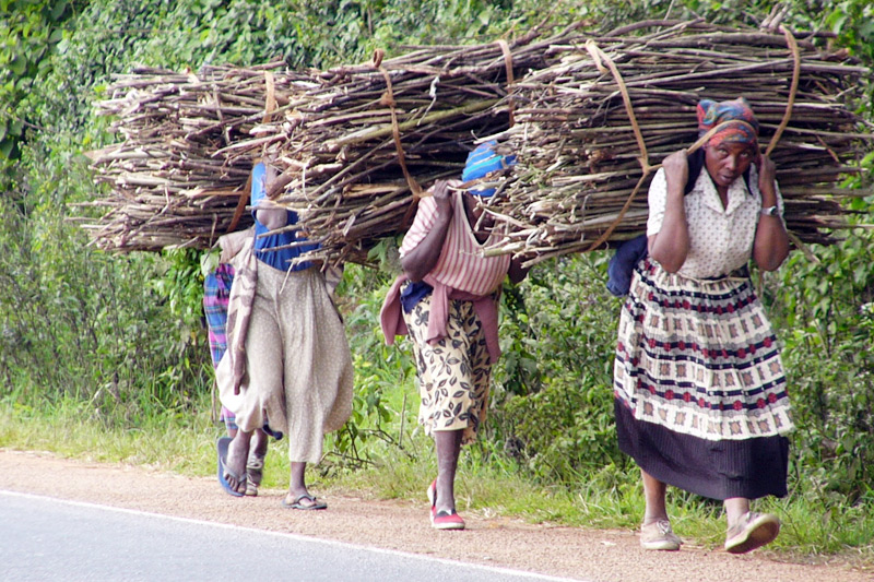 Wood accounts for 27% of the total primary energy supply in Africa